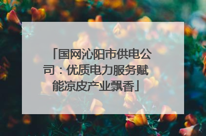 国网沁阳市供电公司：优质电力服务赋能凉皮产业飘香