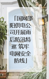 国网邵阳供电公司开展雨后防汛特巡 筑牢电网安全防线