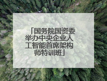 国务院国资委举办中央企业人工智能首席架构师特训班