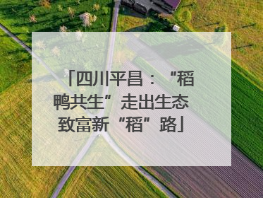 四川平昌：“稻鸭共生”走出生态致富新“稻”路