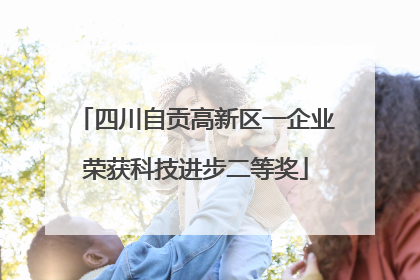 四川自贡高新区一企业荣获科技进步二等奖