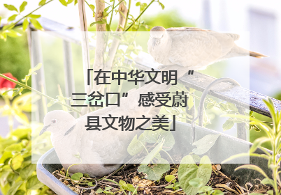 在中华文明“三岔口”感受蔚县文物之美