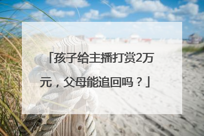 孩子给主播打赏2万元，父母能追回吗？
