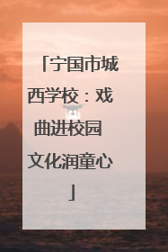 宁国市城西学校：戏曲进校园 文化润童心