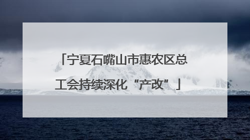 宁夏石嘴山市惠农区总工会持续深化“产改”