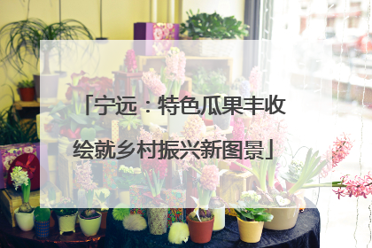 宁远：特色瓜果丰收绘就乡村振兴新图景