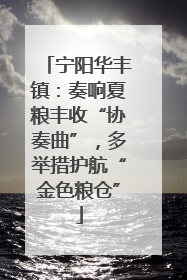 宁阳华丰镇：奏响夏粮丰收“协奏曲”，多举措护航“金色粮仓”