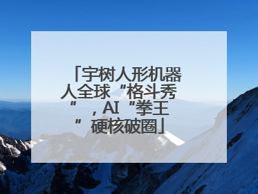 宇树人形机器人全球“格斗秀”，AI“拳王”硬核破圈