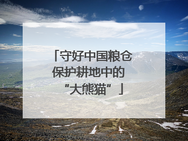 守好中国粮仓 保护耕地中的“大熊猫”