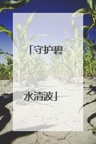 守护碧水清波
