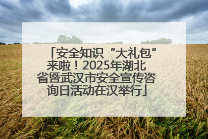 安全知识“大礼包”来啦！2025年湖北省暨武汉市安全宣传咨询日活动在汉举行
