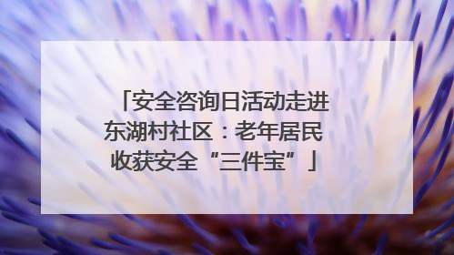 安全咨询日活动走进东湖村社区：老年居民收获安全“三件宝”