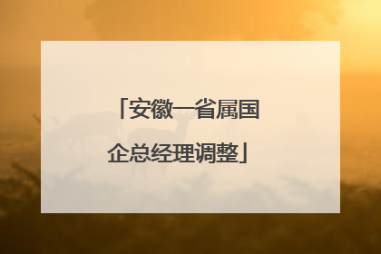 安徽一省属国企总经理调整
