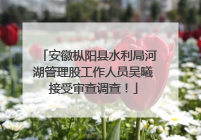 安徽枞阳县水利局河湖管理股工作人员吴曦接受审查调查！