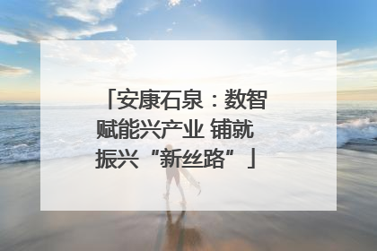 安康石泉：数智赋能兴产业 铺就振兴“新丝路”