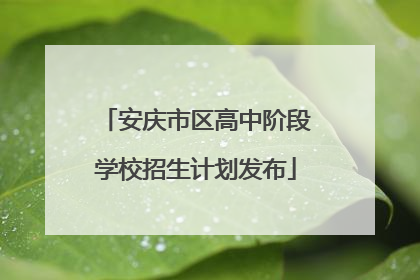 安庆市区高中阶段学校招生计划发布