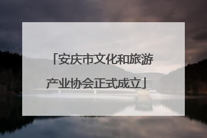 安庆市文化和旅游产业协会正式成立
