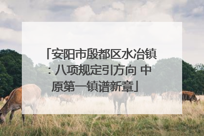 安阳市殷都区水冶镇：八项规定引方向 中原第一镇谱新章