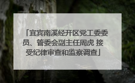 宜宾南溪经开区党工委委员、管委会副主任周虎 接受纪律审查和监察调查