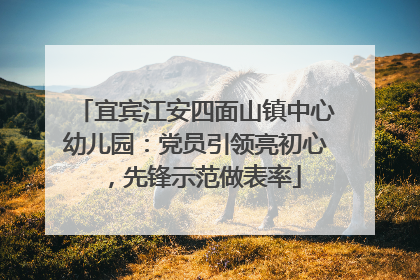 宜宾江安四面山镇中心幼儿园：党员引领亮初心，先锋示范做表率