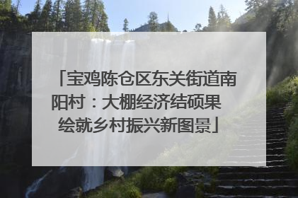 宝鸡陈仓区东关街道南阳村：大棚经济结硕果 绘就乡村振兴新图景