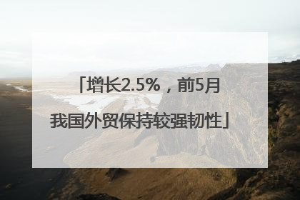增长2.5%，前5月我国外贸保持较强韧性