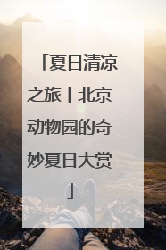 夏日清凉之旅丨北京动物园的奇妙夏日大赏