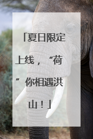 夏日限定上线，“荷”你相遇洪山！