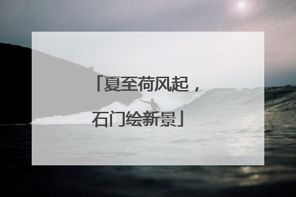 夏至荷风起，石门绘新景