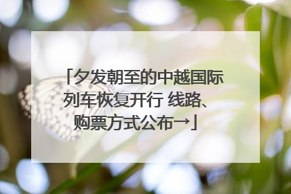 夕发朝至的中越国际列车恢复开行 线路、购票方式公布→