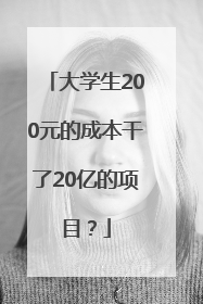 大学生200元的成本干了20亿的项目？