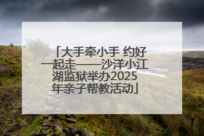 大手牵小手 约好一起走——沙洋小江湖监狱举办2025年亲子帮教活动