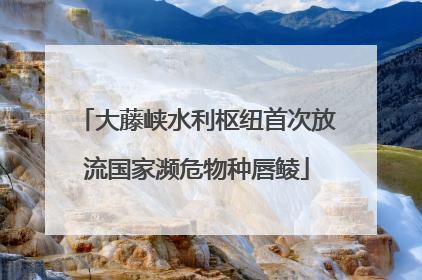 大藤峡水利枢纽首次放流国家濒危物种唇鲮
