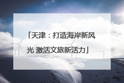 天津：打造海岸新风光 激活文旅新活力