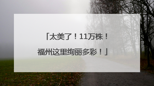 太美了！11万株！福州这里绚丽多彩！