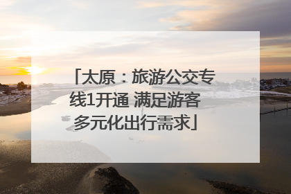 太原：旅游公交专线1开通 满足游客多元化出行需求