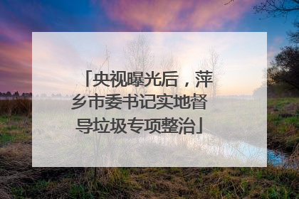 央视曝光后，萍乡市委书记实地督导垃圾专项整治