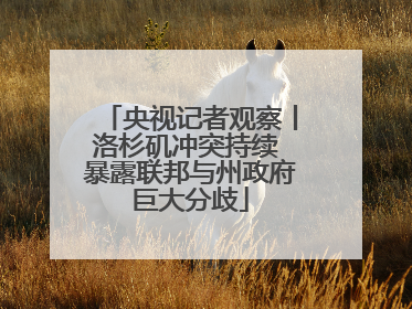 央视记者观察丨洛杉矶冲突持续 暴露联邦与州政府巨大分歧