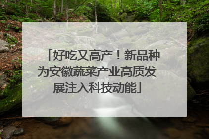 好吃又高产！新品种为安徽蔬菜产业高质发展注入科技动能