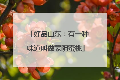 好品山东：有一种味道叫做蒙阴蜜桃