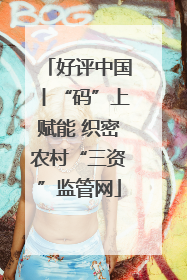 好评中国丨“码”上赋能 织密农村“三资”监管网