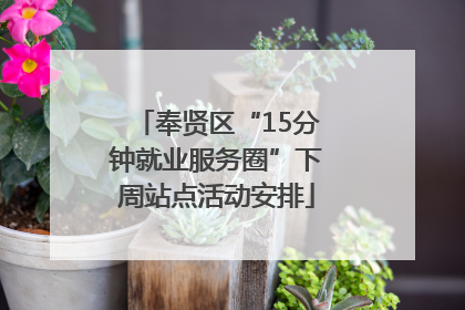 奉贤区“15分钟就业服务圈”下周站点活动安排