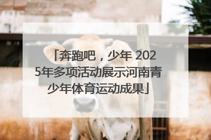 奔跑吧，少年 2025年多项活动展示河南青少年体育运动成果