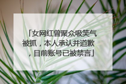 女网红曾聚众吸笑气被抓，本人承认并道歉，目前账号已被禁言
