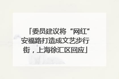 委员建议将“网红”安福路打造成文艺步行街，上海徐汇区回应