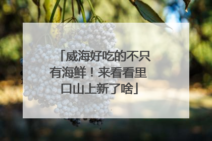 威海好吃的不只有海鲜！来看看里口山上新了啥