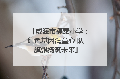 威海市福泰小学：红色基因润童心 队旗飘扬筑未来