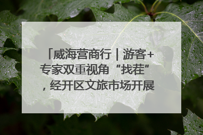威海营商行｜游客+专家双重视角“找茬”，经开区文旅市场开展暑期前“体检”