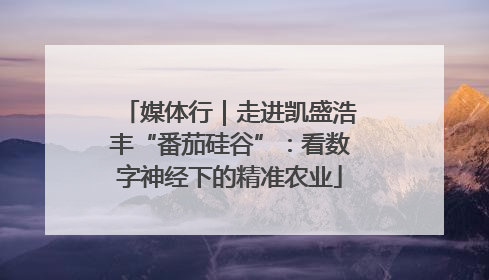 媒体行｜走进凯盛浩丰“番茄硅谷”：看数字神经下的精准农业