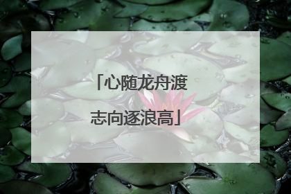 心随龙舟渡 志向逐浪高